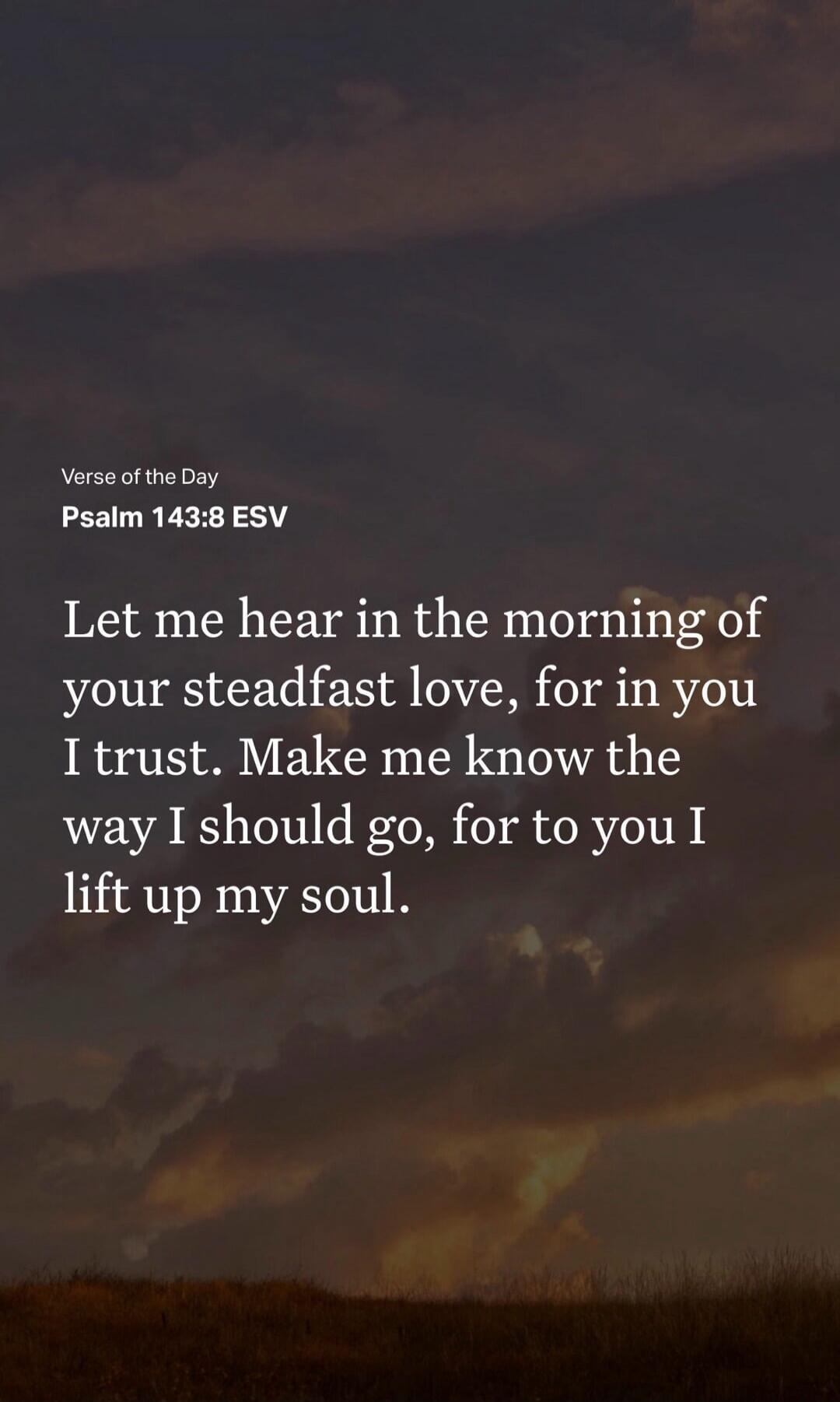 Verse of the Day Psalm 143:8 ESV Let me hear in the morning of your steadfast love, for in you I trust. Make me know the way I should go, for to you I lift up my soul.