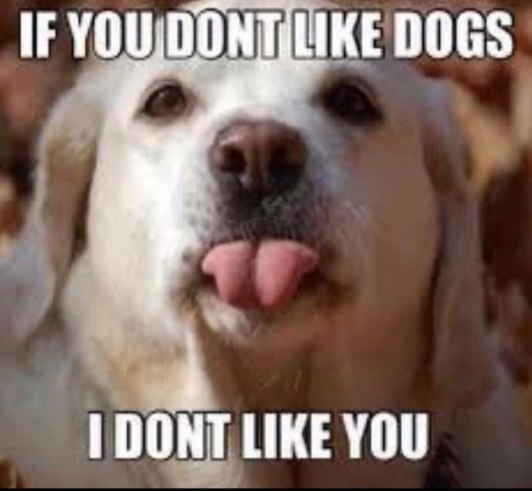 IF YOU DONT LIKE DOGS I DONT LIKE YOU