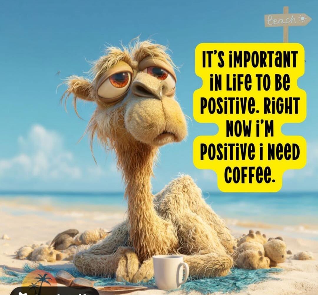It's important in life to be positive. Right now I'm positive I need coffee.