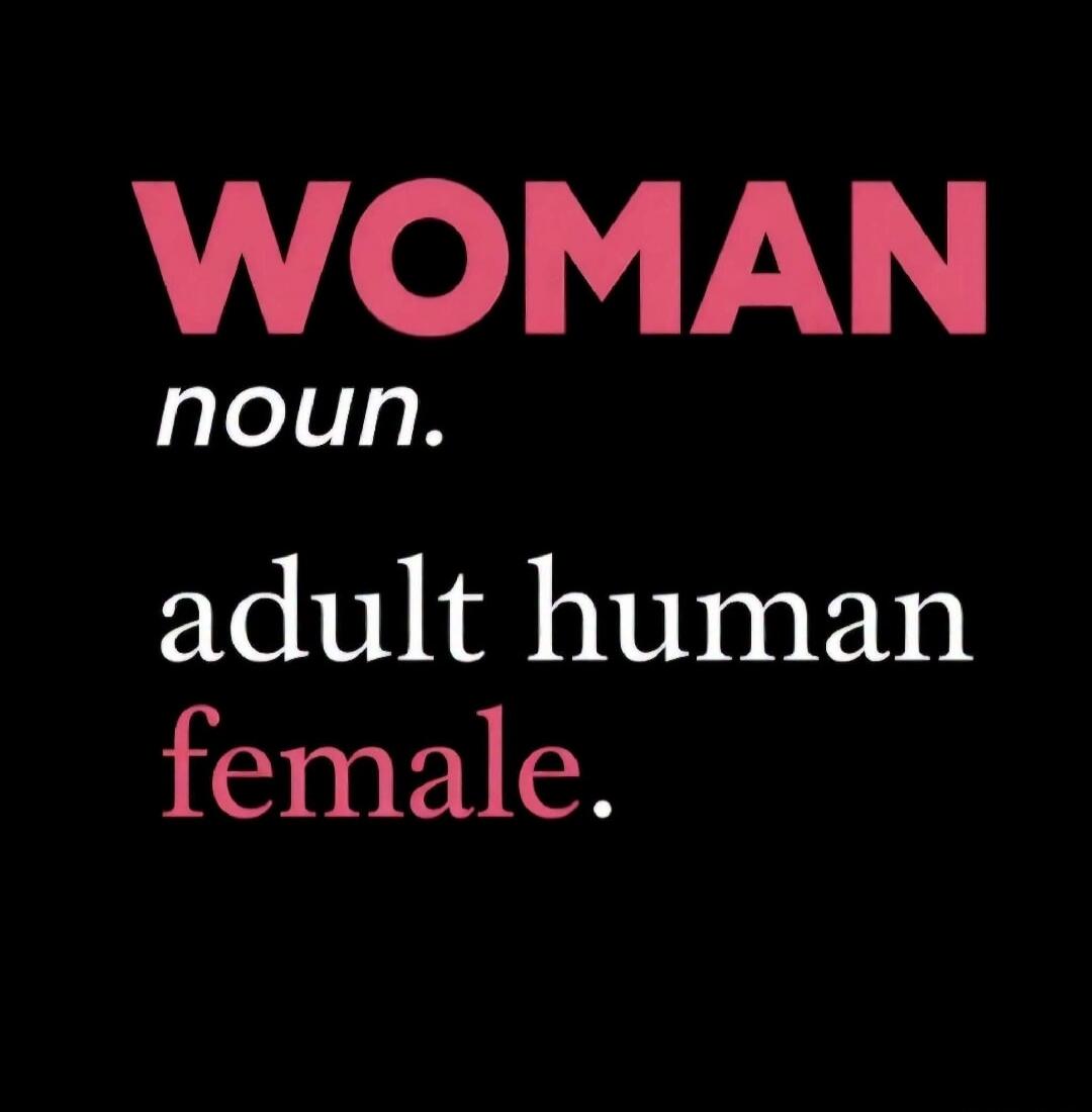 WOMAN noun. adult human female.