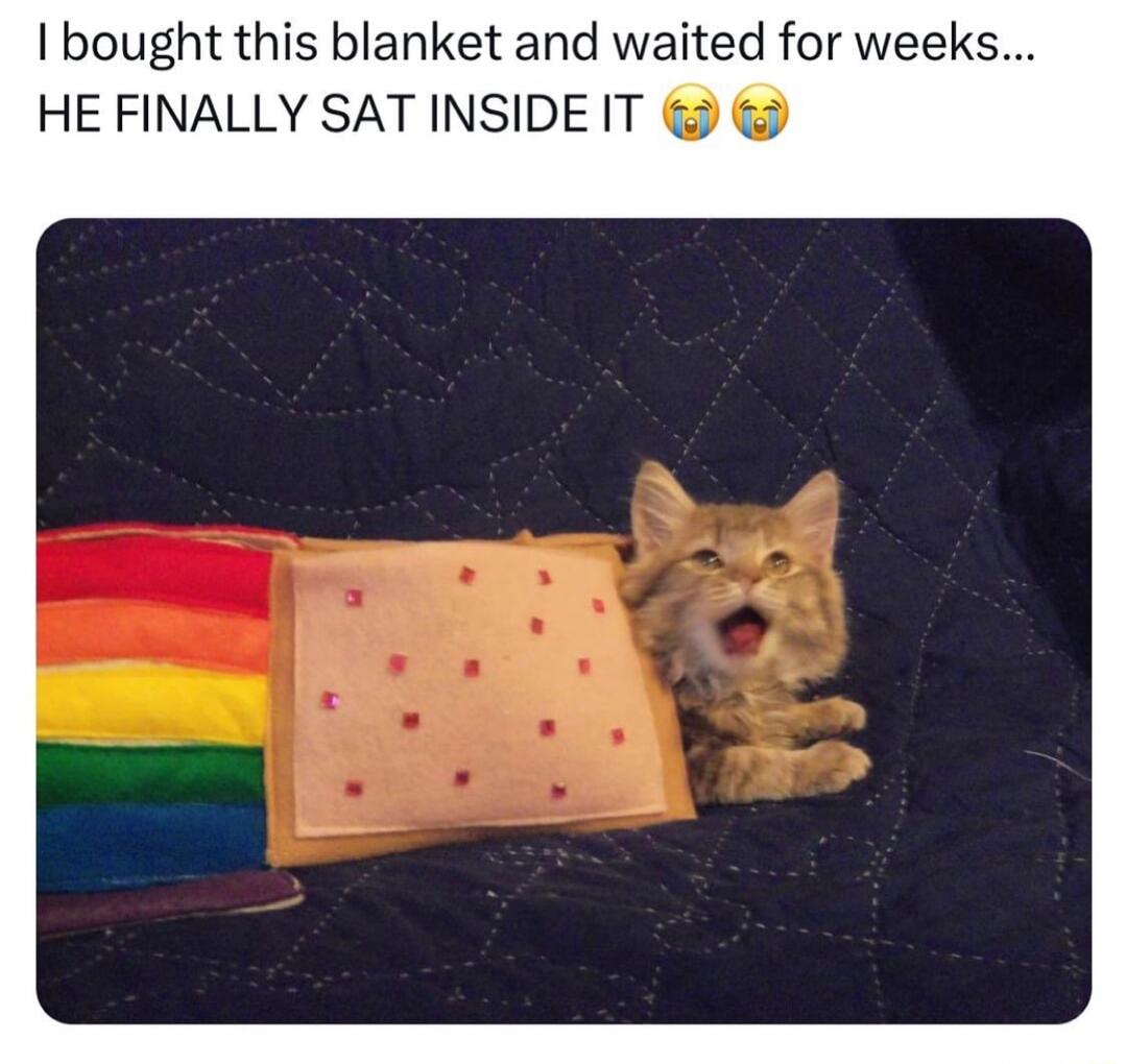 bought this blanket and waited for weeks HE FINALLY SAT INSIDE IT
