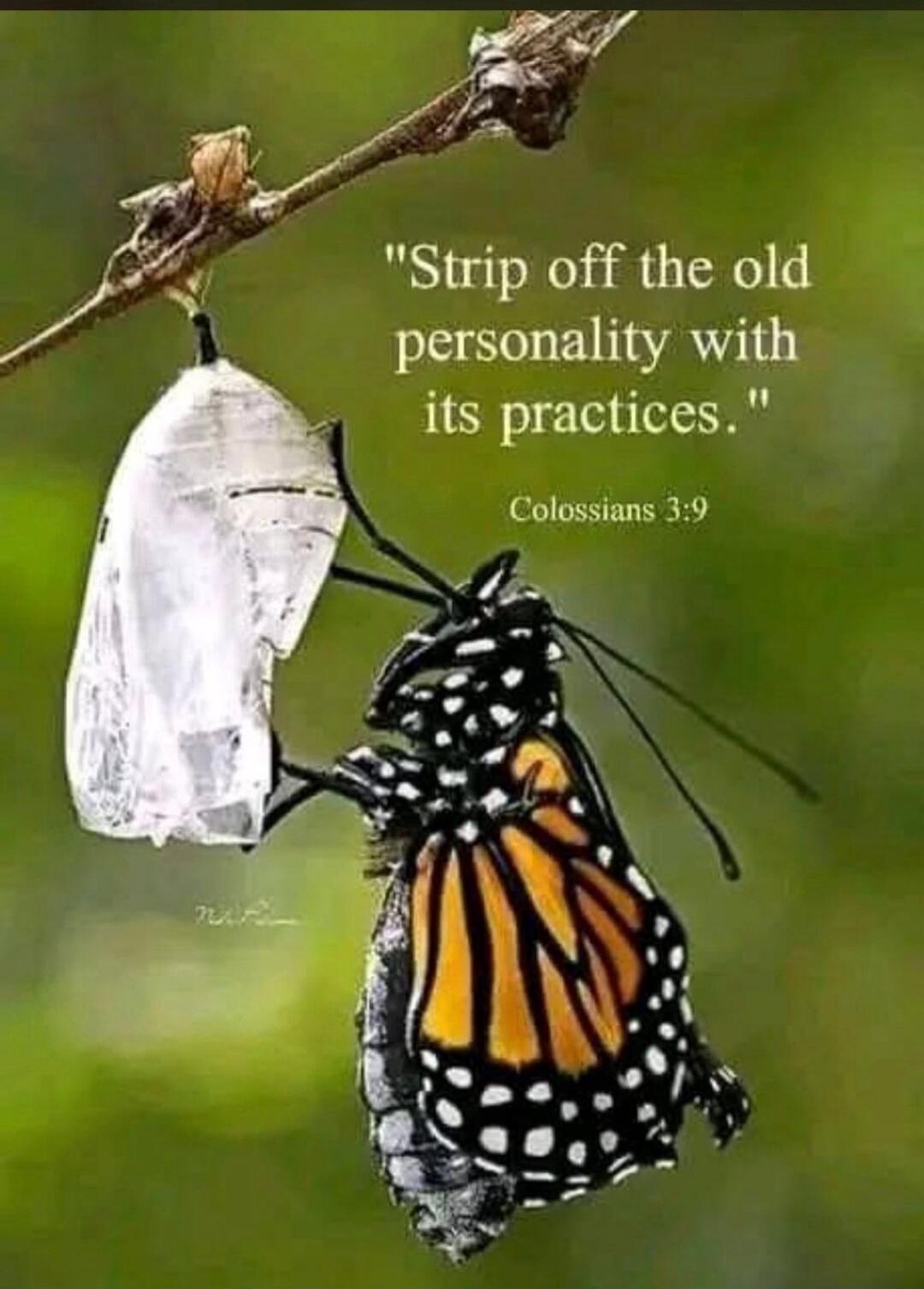 Strip off the old personality with its practices. Colossians 3:9