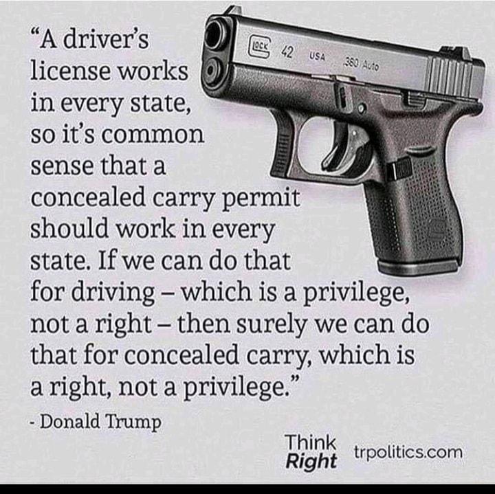 A drivers license works in every state S0 its common sense that a concealed carry permit should work in every state If we can do that for driving which is a privilege not a right then surely we can do that for concealed carry which is a right not a privilege Donald Trump gglli trpoliticscom