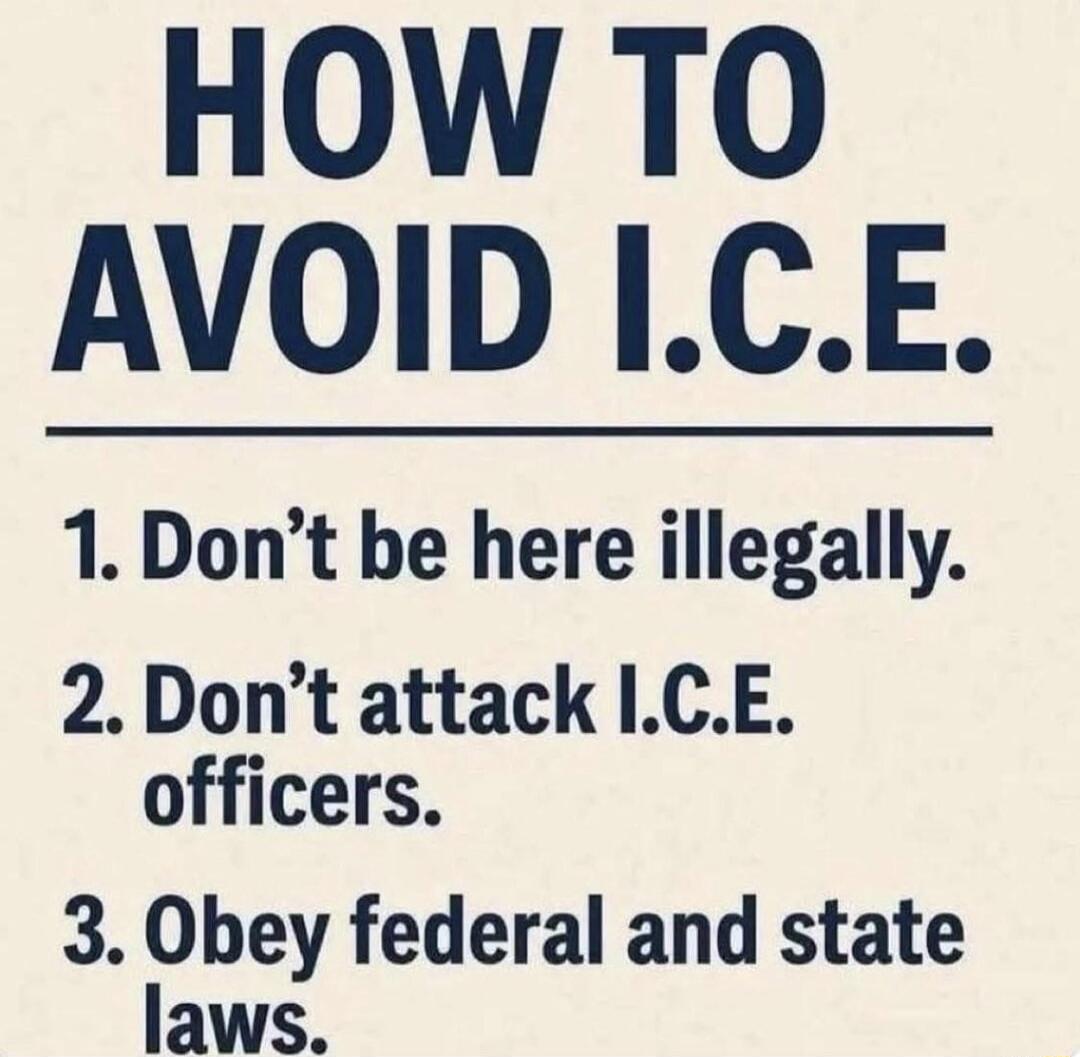HOW TO AVOID I.C.E.\n1. Don’t be here illegally.\n2. Don’t attack I.C.E. officers.\n3. Obey federal and state laws.