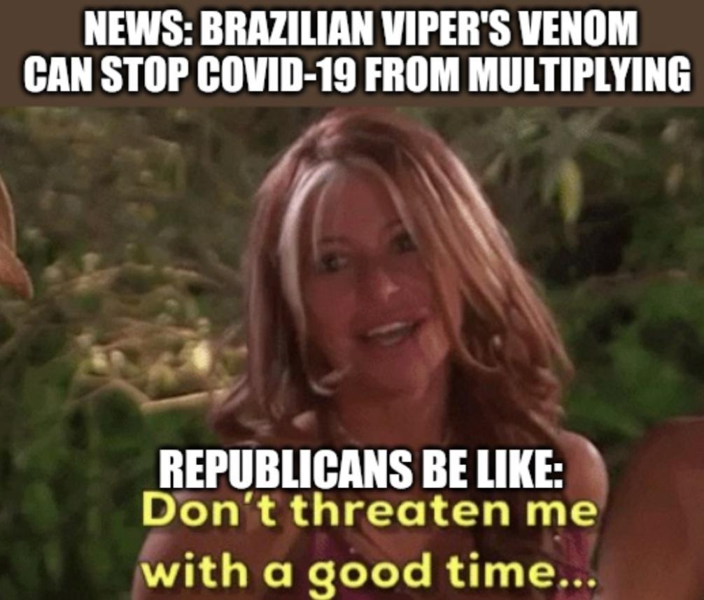 NEWS BRAZILIAN VIPERS VENOM CAN STOP COVID 19 FROM MULTIPLYING i A REPUBLICANS BE LIKE Pont threaten me with a good time