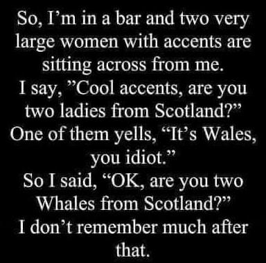 So Im in a bar and two very large women with accents are sitting across from me 1 say Cool accents are you two ladies from Scotland One of them yells Its Wales you idiot So I said OK are you two Whales from Scotland I dont remember much after that