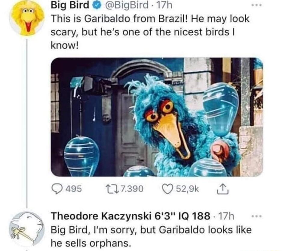 7S Big Bird BigBird 17h This is Garibaldo from Brazil He may look scary but hes one of the nicest birds know Theodore Kaczynski 63 1Q 188 17h Big Bird Im sorry but Garibaldo looks like he sells orphans