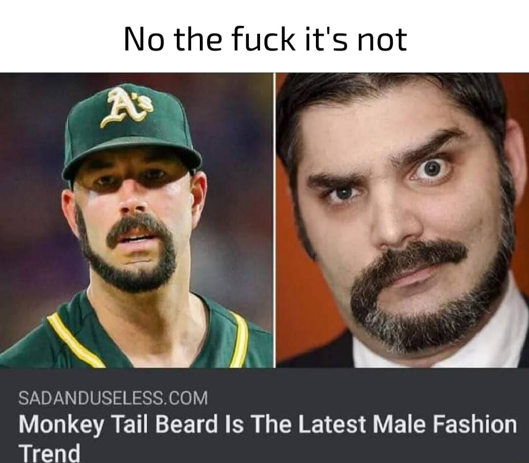 No the fuck its not SADANDUSELESSCOM Monkey Tail Beard Is The Latest Male Fashion Trend