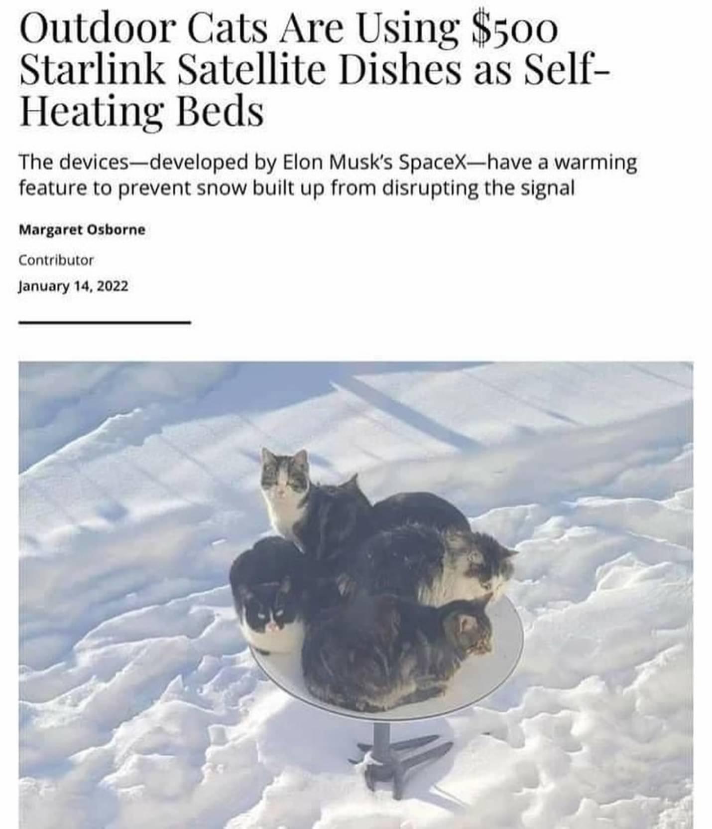 Outdoor Cats Are Using 500 Starlink Satellite Dishes as Self Healing Beds The devicesdeveloped by Elon Musks SpaceXhave a warming feature to prevent snow built up from disrupting the signal Morgaret Osborne Jonuary 142022