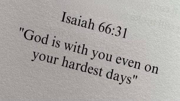 Isaiah 66:31 