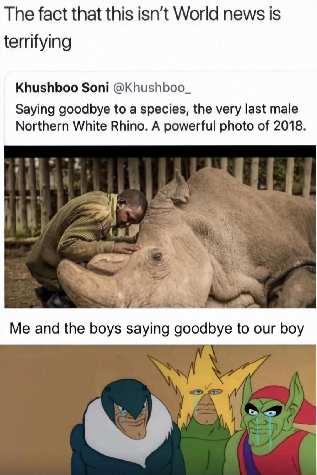 The fact that this isnt World news is terrifying Khushboo Soni Khushboo_ Saying goodbye to a species the very last male Northern White Rhino A powerful photo of 2018