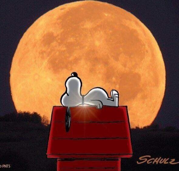 Snoopy sleeping on his red doghouse with a giant moon in the background.