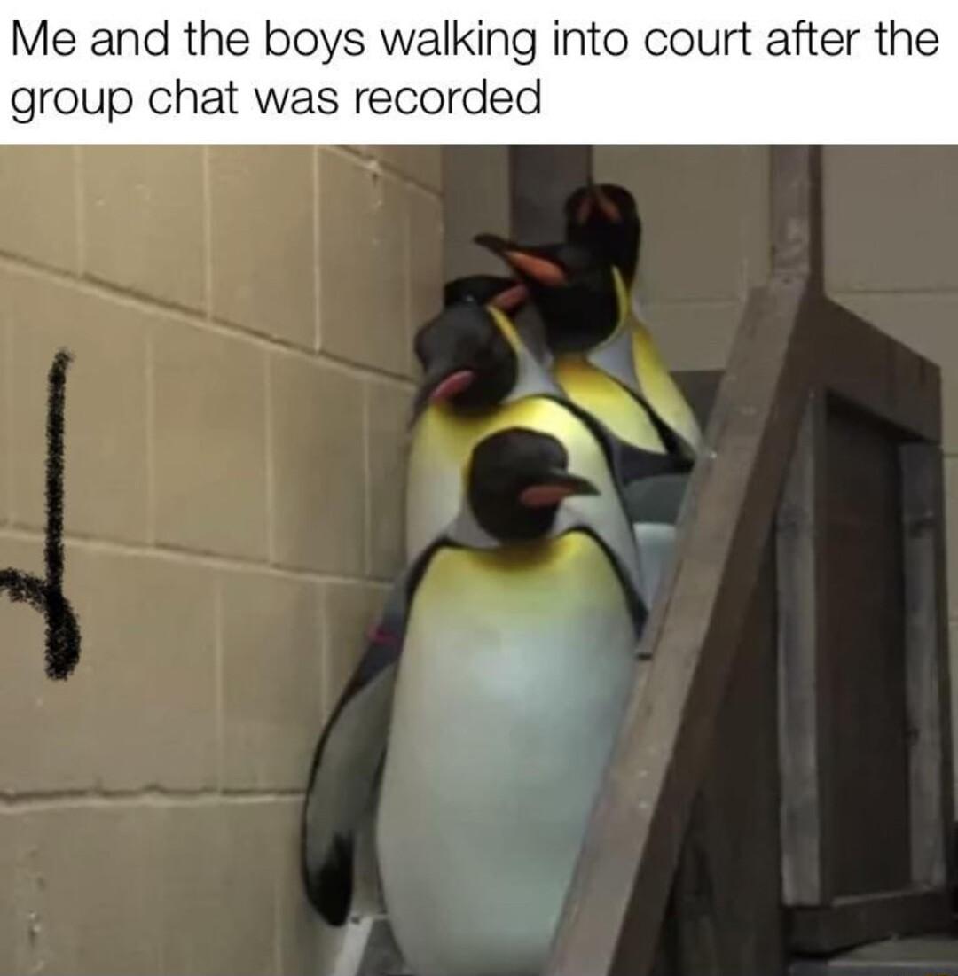 Me and the boys walking into court after the group chat was recorded
