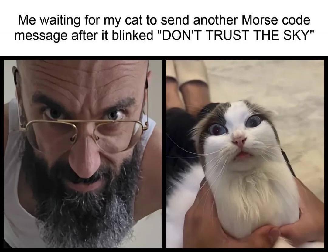 Me waiting for my cat to send another Morse code message after it blinked 