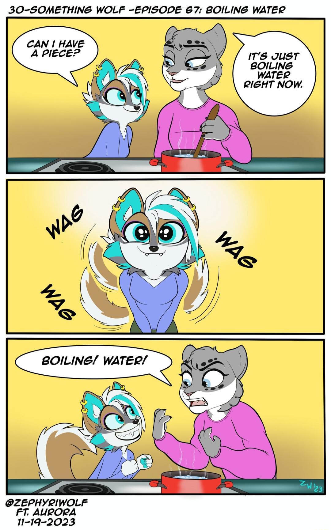 30 SOMETHING WOLF EPISODE 67 BOILING WATER CAN HAVE A PIECE N N msoust SN BOILINE BOILINS WATER g V D ZEPHYRIWOLF FT AURORA 11 19 2023