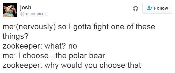 josh 1 2 Follow 8 Gruineapicnic menervously so gotta fight one of these things zookeeper what no me choosethe polar bear zookeeper why would you choose that