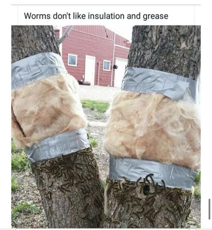 Worms don't like insulation and grease