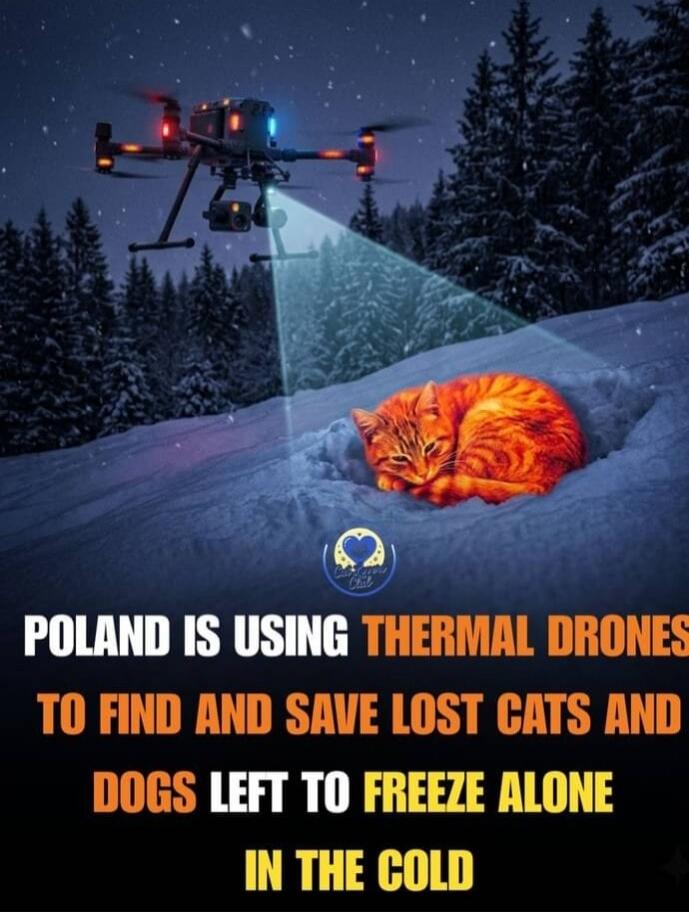 POLAND IS USING THERMAL DRONES TO FIND AND SAVE LOST CATS AND DOGS LEFT TO FREEZE ALONE IN THE COLD