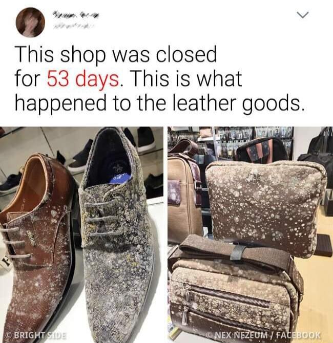 0 S 4 v This shop was closed for 53 days This is what happened to the leather goods