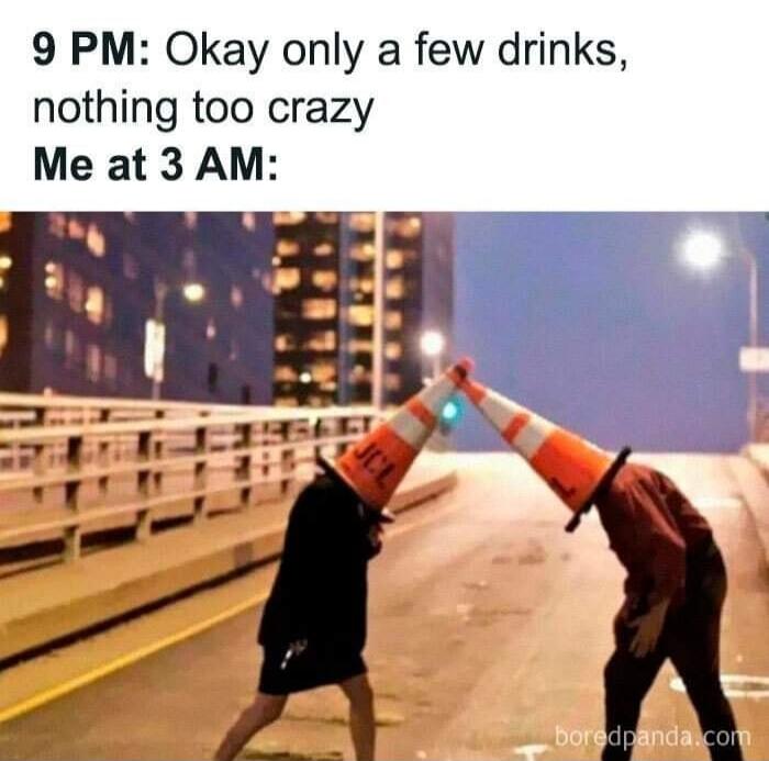9 PM: Okay only a few drinks, nothing too crazy Me at 3 AM: