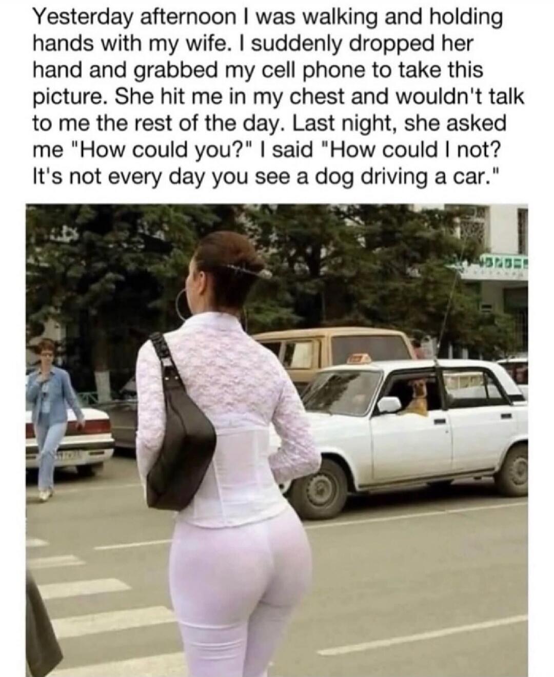 Yesterday afternoon I was walking and holding hands with my wife. I suddenly dropped her hand and grabbed my cell phone to take this picture. She hit me in my chest and wouldn't talk to me the rest of the day. Last night, she asked me 