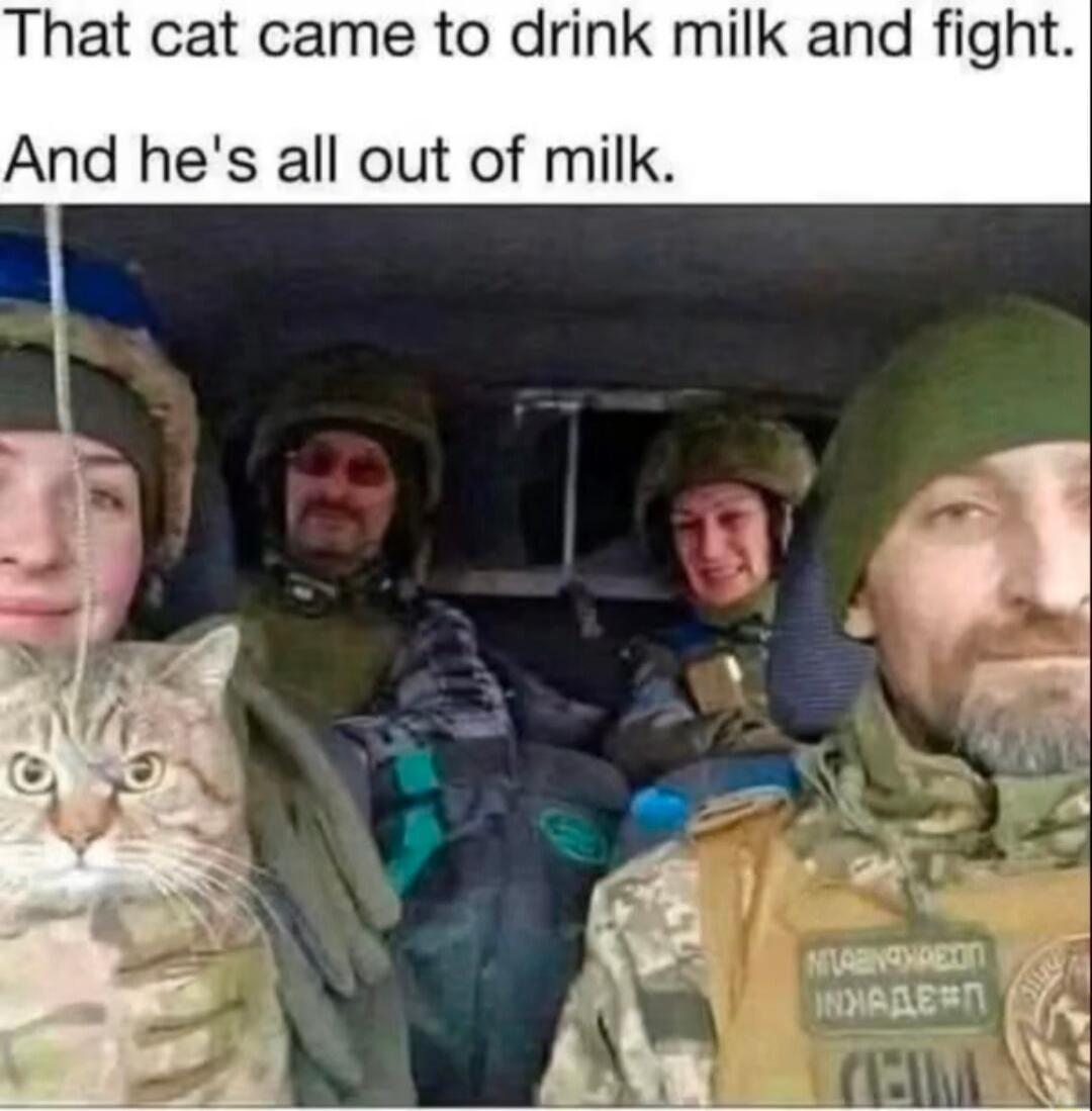 That cat came to drink milk and fight. And he's all out of milk.