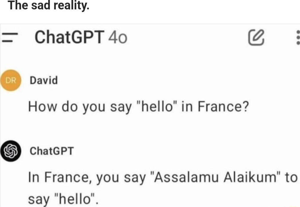 The sad reality ChatGPT 40 oavie How do you say hello in France crotcer In France you say Assalamu Alaikum to say hello