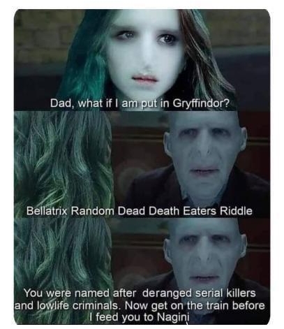 POt Gryffindor Bellatrix Random Dead Death Eaters Riddle You were named after deranged serial killers and lowlife criminals Now get on the train before feed you to Nagini VIA POTTERLOVERS_
