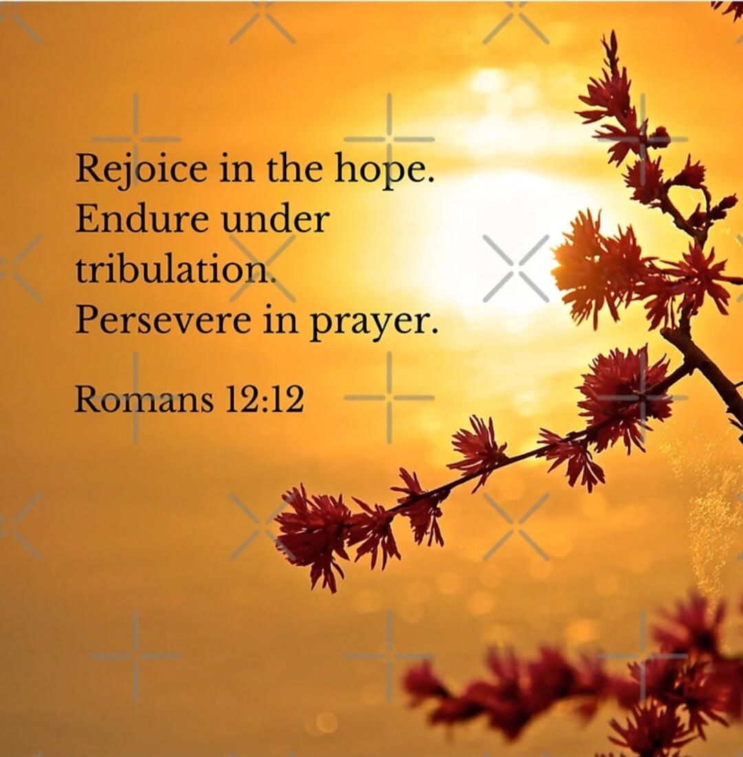 Rejoice in the hope. Endure under tribulation. Persevere in prayer. Romans 12:12