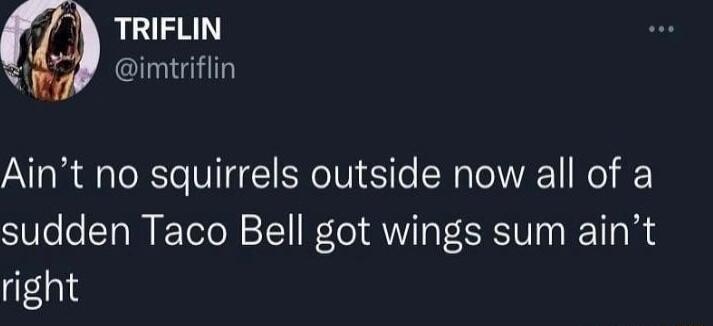 TRIFLIN imtriflin Aint no squirrels outside now all of a sudden Taco Bell got wings sum aint right