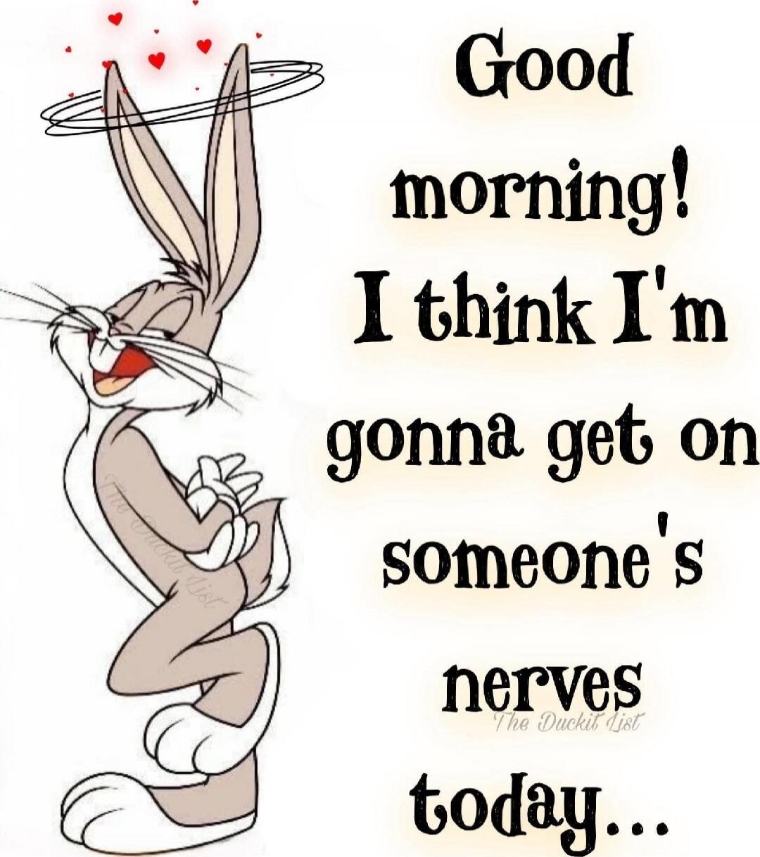 Good morning! I think I'm gonna get on someone's nerves today...