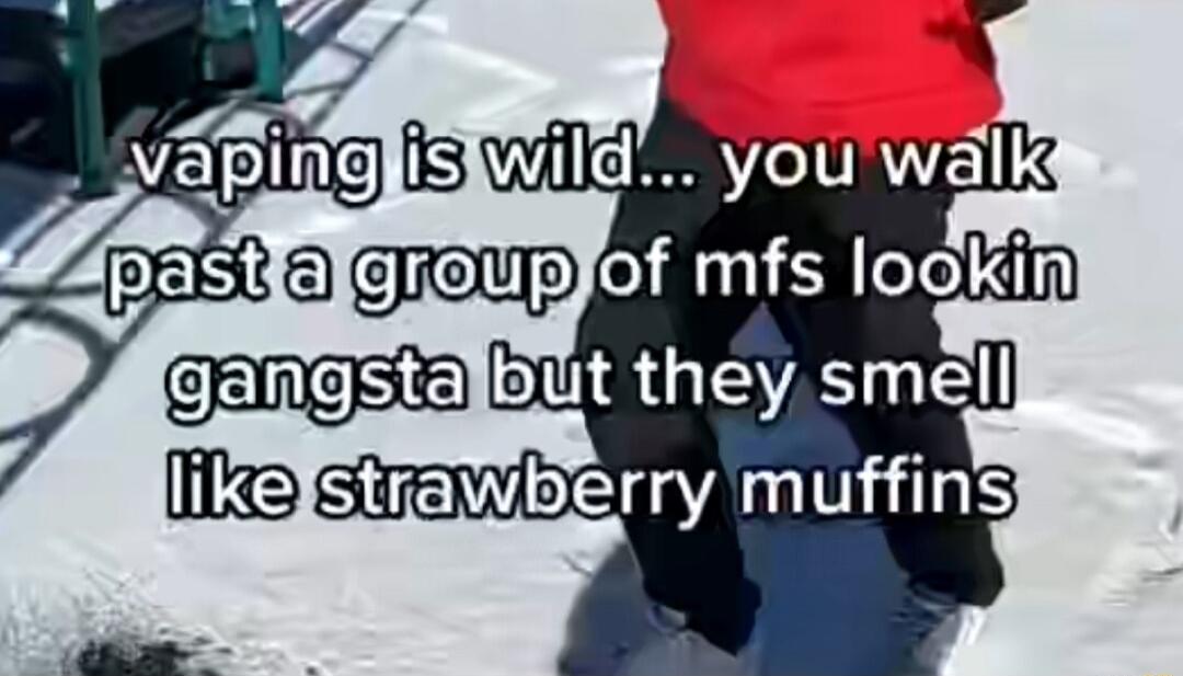 VEpinGliswild V FIE