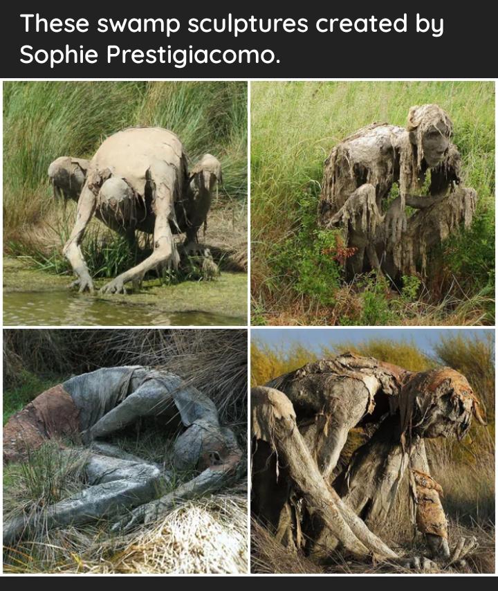 LI RS e o oo R eVl U XN el gTo 1 To M oV Sophie Prestigiacomo