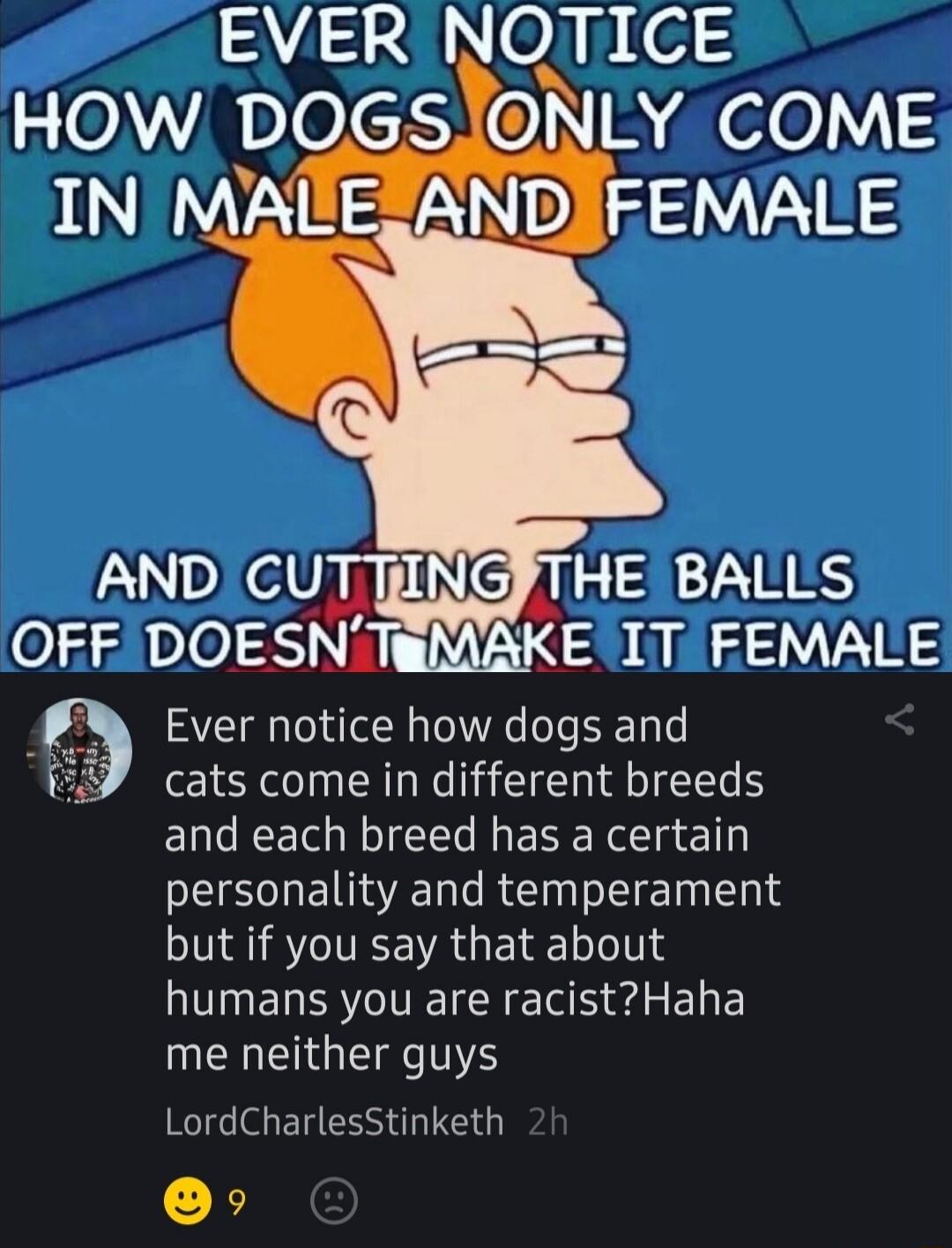 EVER NOTICE z OAVR PIOXCIA O N e0 12 AND CUTTIN ol Aol KE T FEMALE Ever notice how dogs and cats come in different breeds EQREET I EEER R el EECREZELRCIN I E eIl but if you say that about N ERISG TN E S eda E E N NG LordCharlesStinketh X