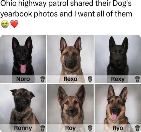 Onhio highway patrol shared their Dogs yearbook photos and want all of them