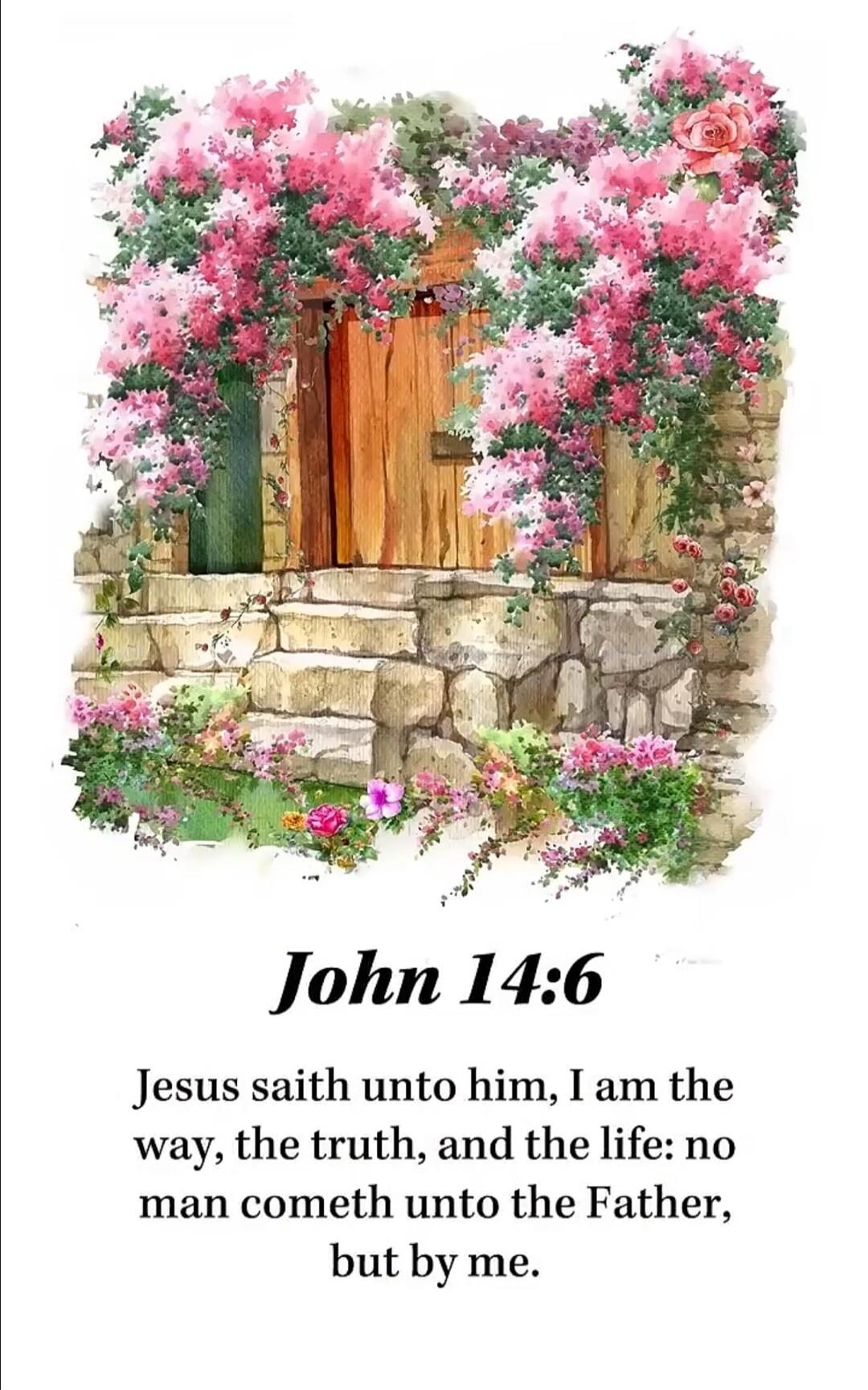 John 14:6 Jesus saith unto him, I am the way, the truth, and the life: no man cometh unto the Father, but by me.