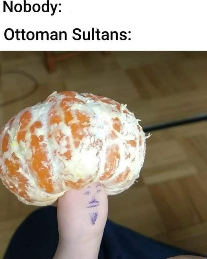 Nob Ottoman Sultans