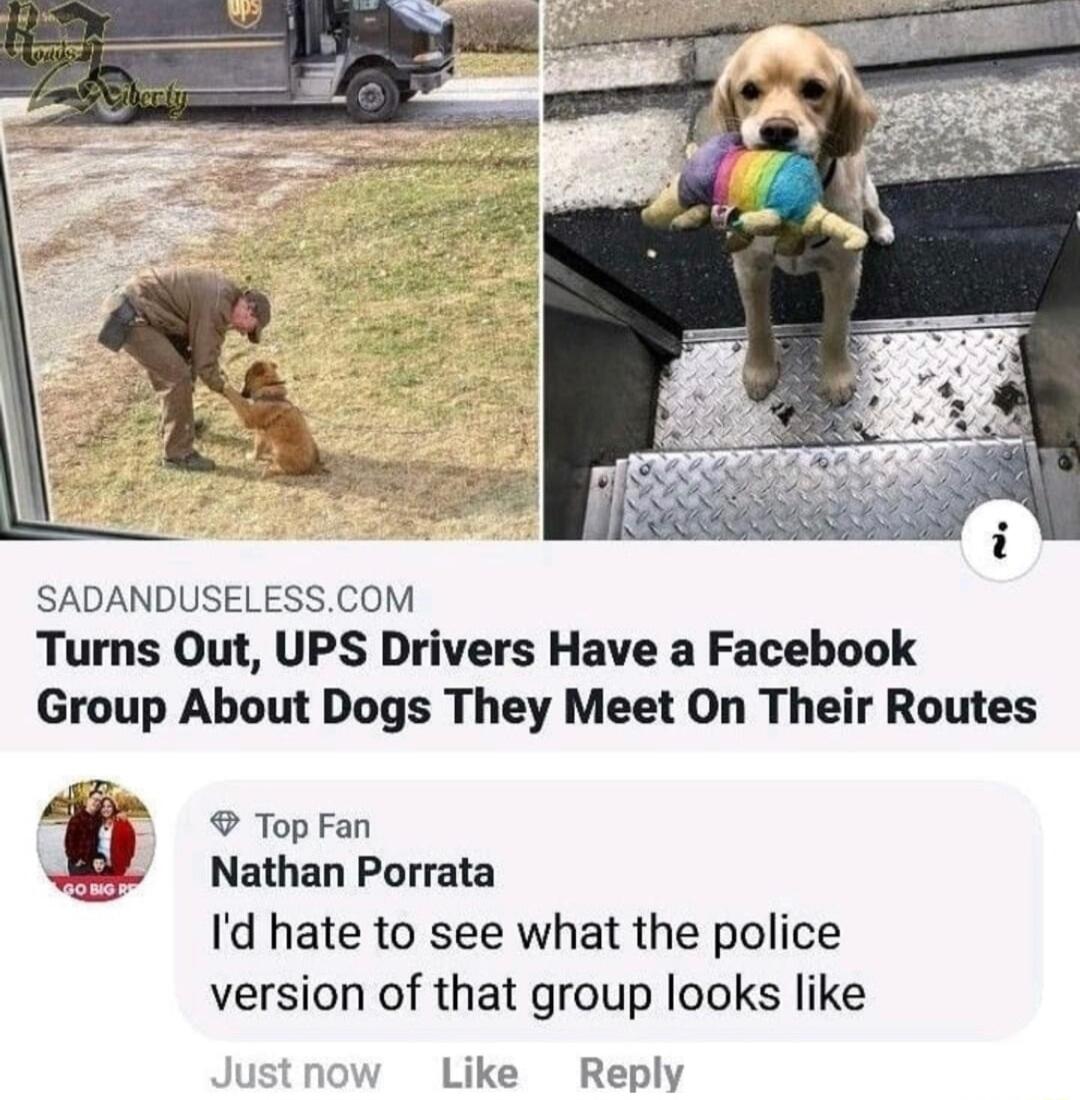 SADANDUSELESSCOM Turns Out UPS Drivers Have a Facebook Group About Dogs They Meet On Their Routes Top Fan f Nathan Porrata Id hate to see what the police version of that group looks like Like Reply