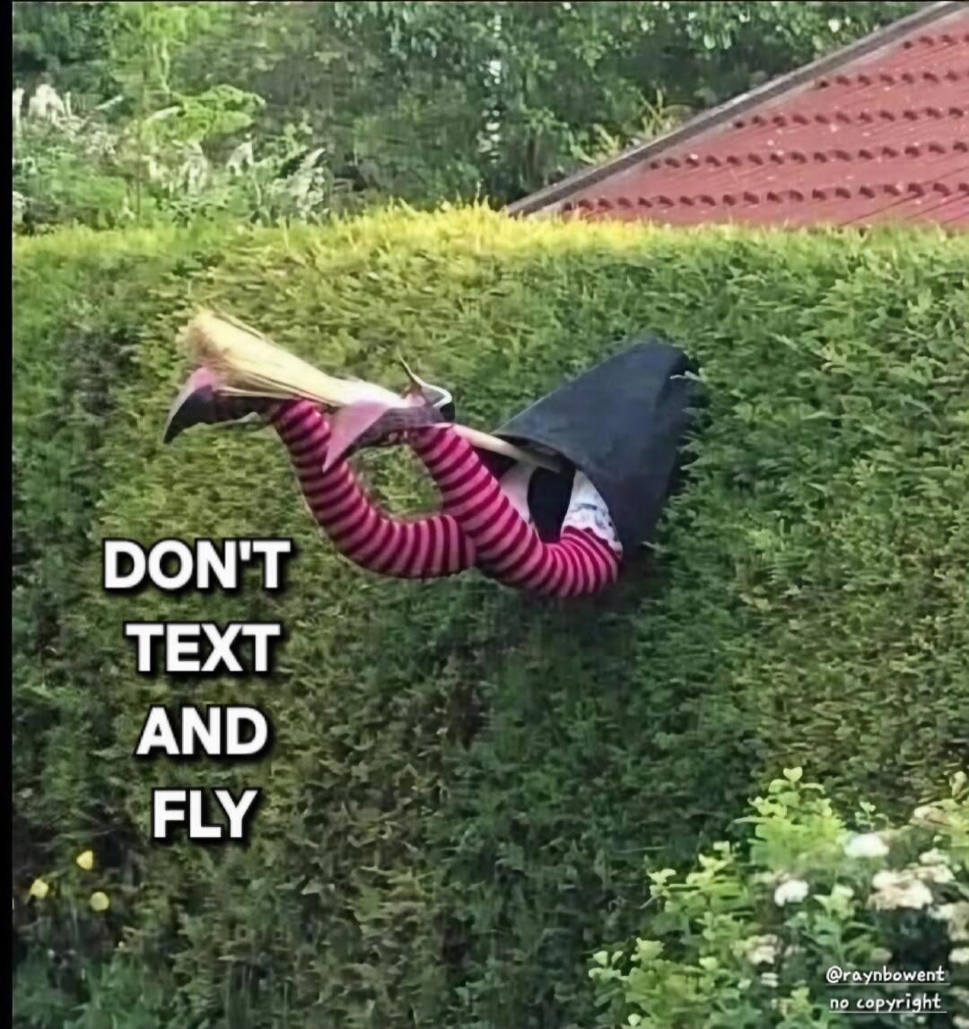 DON'T TEXT AND FLY