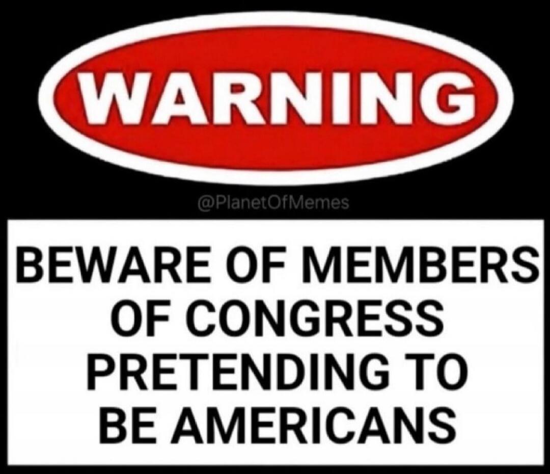 WARNING
BEWARE OF MEMBERS OF CONGRESS PRETENDING TO BE AMERICANS