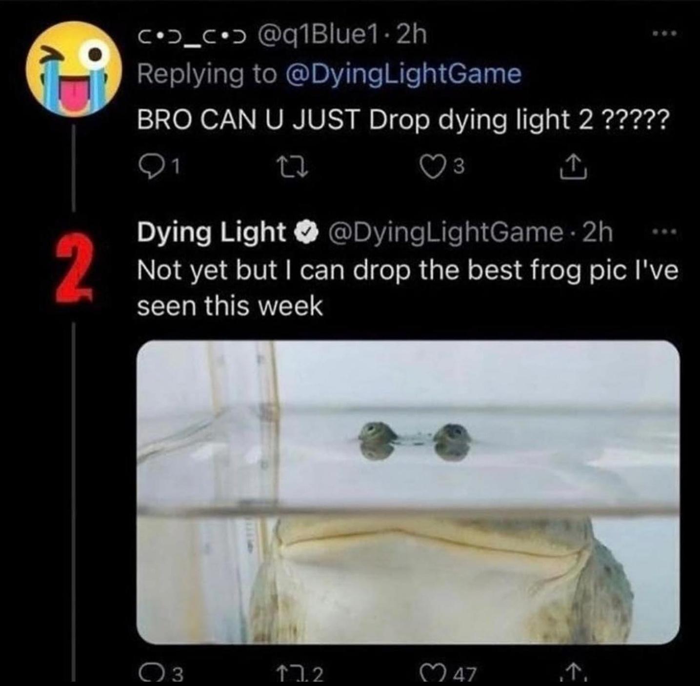 Cced_cC q1Bluel 2h RET Wil RNV ale Mle i F Taql BRO CAN U JUST Drop dying light 2 7 O1 T Qs wr Dying Light DyingLightGame 2h Not yet but can drop the best frog pic Ive seen this week P y B B M a7 2