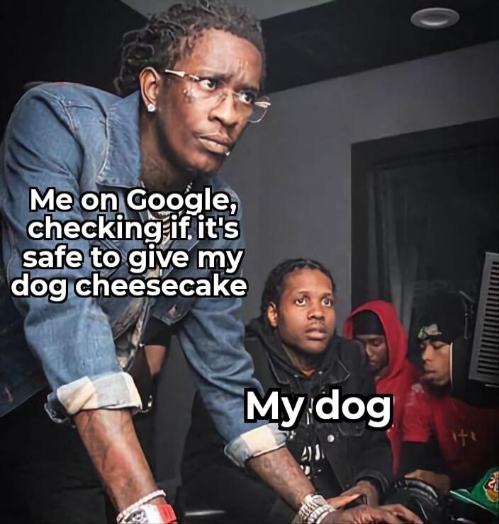 Me on Google, checking if it's safe to give my dog cheesecake
My dog