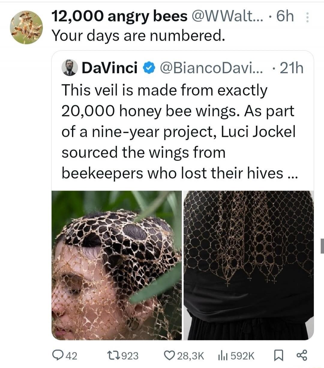 12,000 angry bees. Your days are numbered. This veil is made from exactly 20,000 honey bee wings. As part of a nine-year project, Luci Jockel sourced the wings from beekeepers who lost their hives.