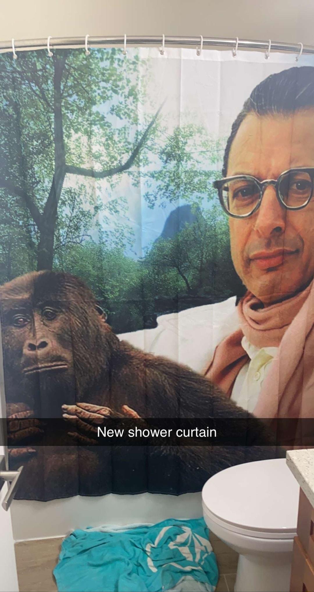 New shower curtain