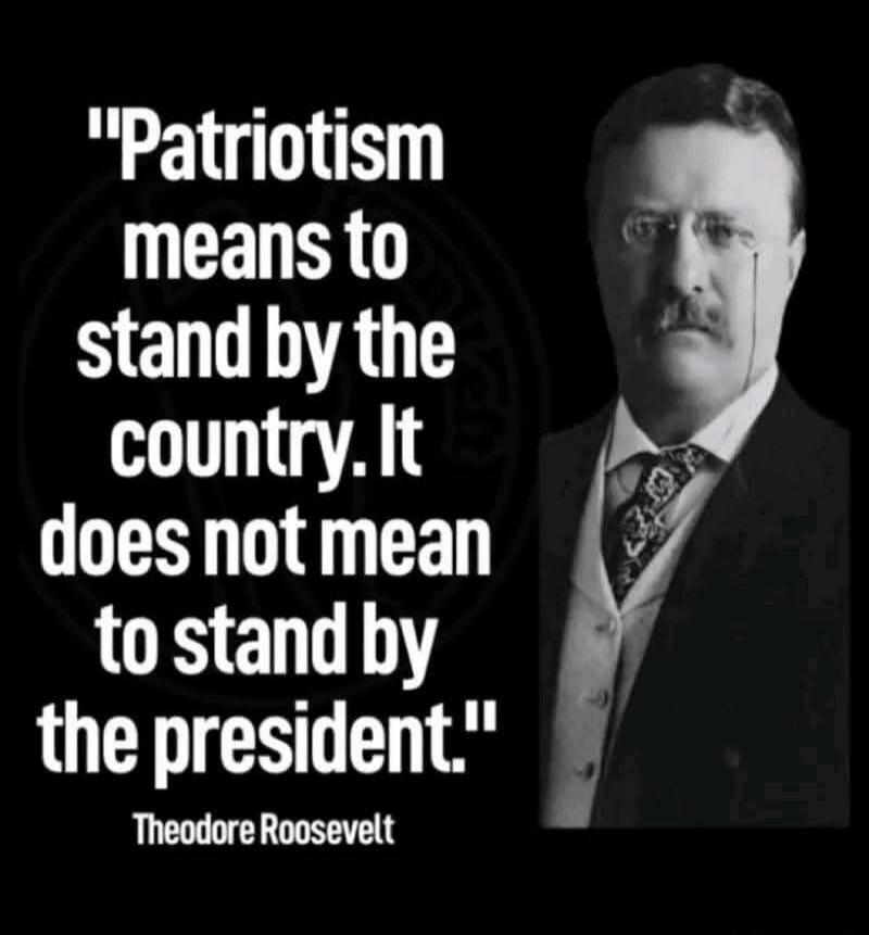 Patriotism means to stand by the country. It does not mean to stand by the president. Theodore Roosevelt