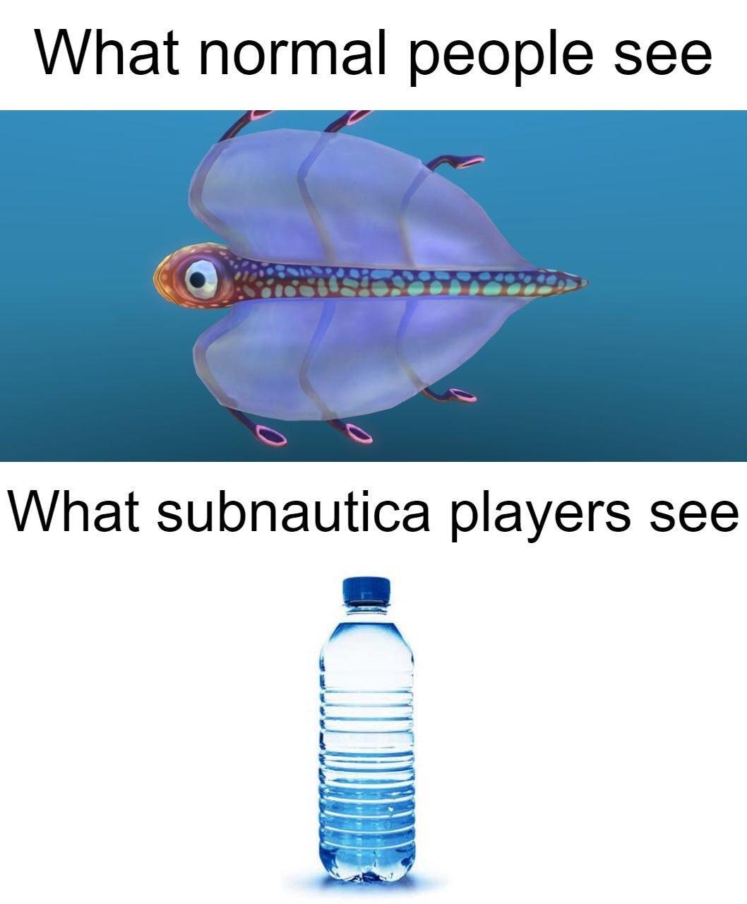 What normal people see What subnautica players see i i 1Y l o 1l 2 11N X LLLEIRI Srrem LW _W LH