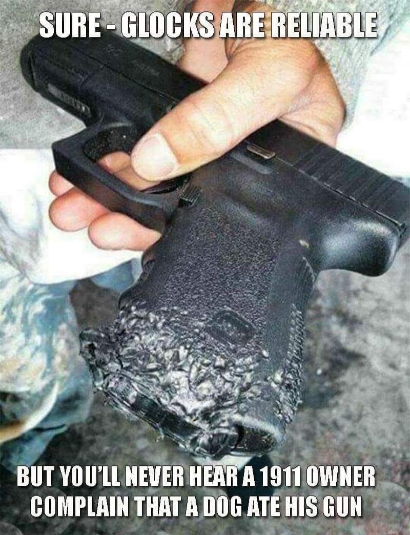 SURE - GLOCKS ARE RELIABLE BUT YOU'LL NEVER HEAR A 1911 OWNER COMPLAIN THAT A DOG ATE HIS GUN