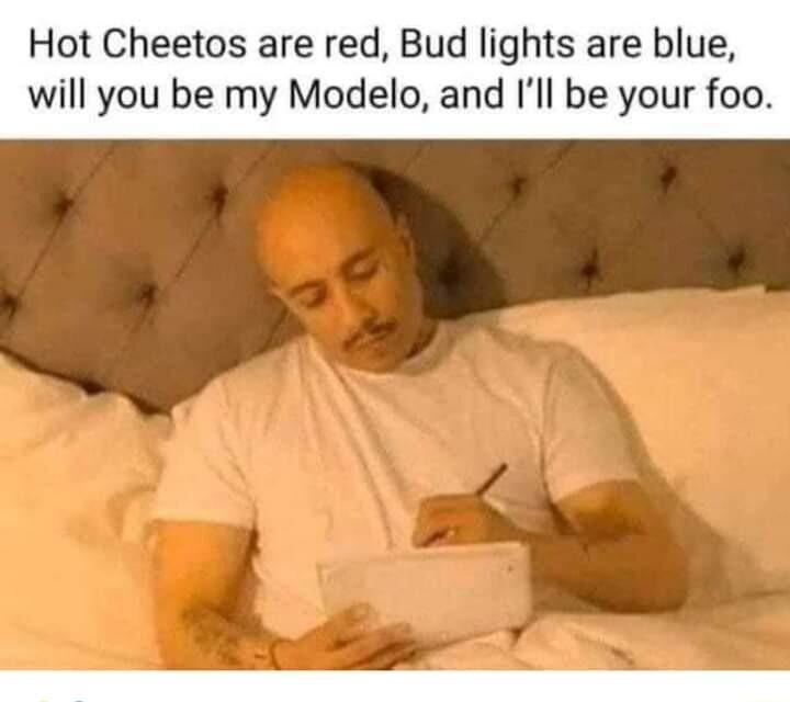 Hot Cheetos are red Bud lights are blue will you be my Modelo and Ill be your foo