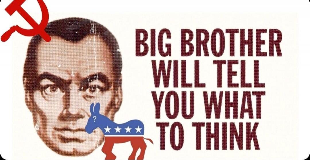 BIG BROTHER WILL TELL YOU WHAT TO THINK
Session ID: 1033821.