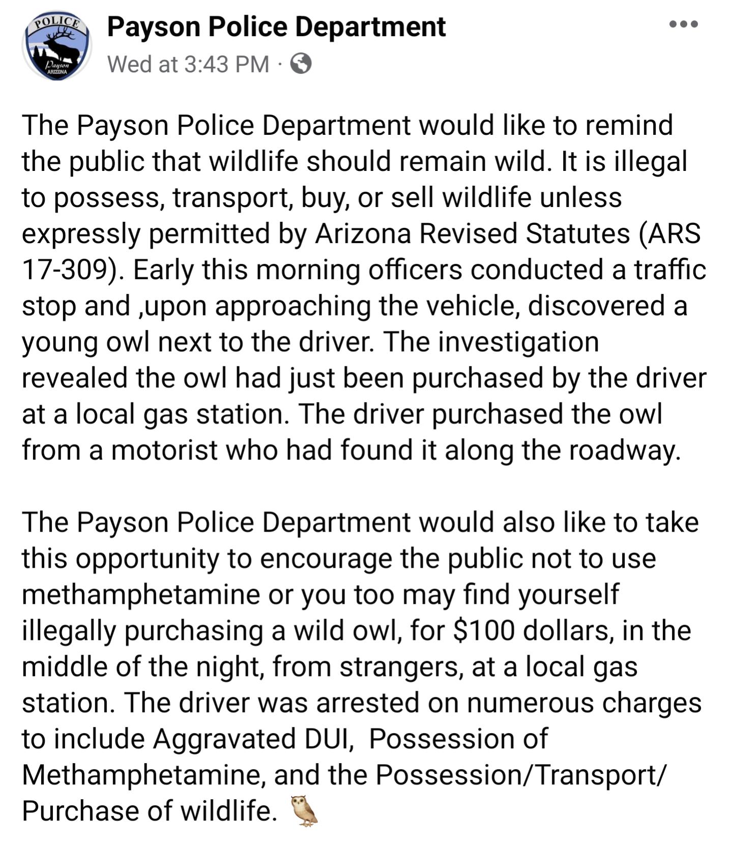 Payson Police Department Wed at 343PM The Payson Police Department would like to remind the public that wildlife should remain wild It is illegal 1o possess transport buy or sell wildlife unless expressly permitted by Arizona Revised Statutes ARS 17 309 Early this morning officers conducted a traffic stop and upon approaching the vehicle discovered a young owl next to the driver The investigation 